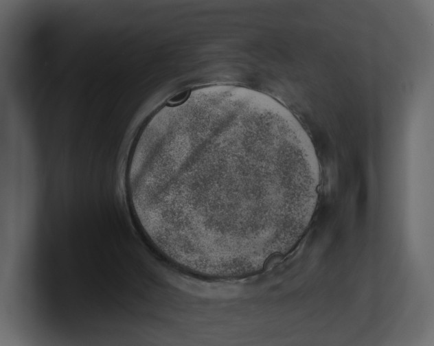 X0000100900004200807151127