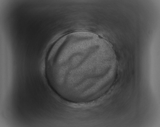 X0000100900005200807151127