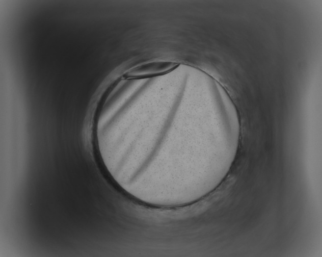 X0000100900007200807151127