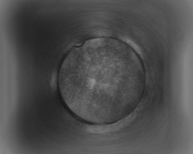 X0000100900009200807151127