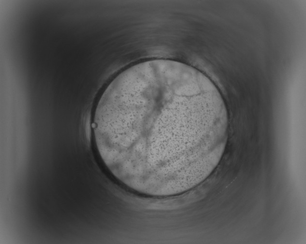 X0000100900011200807151127