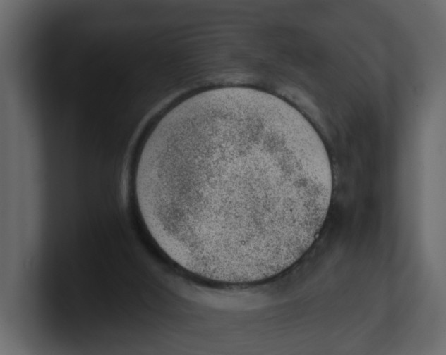 X0000100900012200807151127