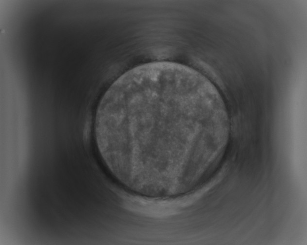 X0000100900018200807151127