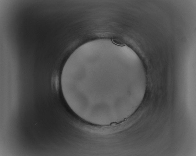 X0000100900019200807151127