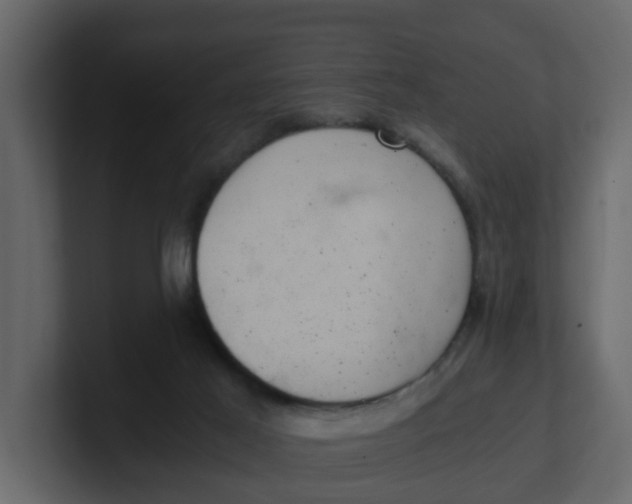 X0000100900021200807151127