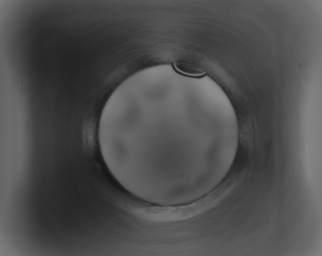 X0000100900023200807151127