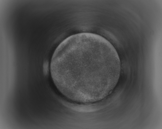 X0000100900024200807151127