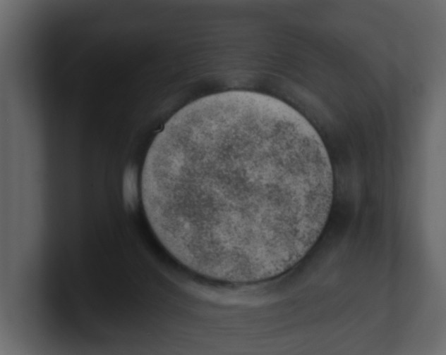 X0000100900028200807151127