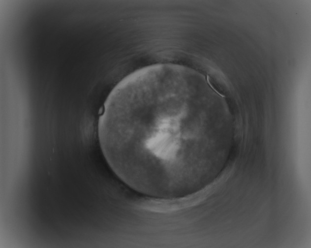 X0000100900029200807151127