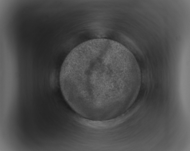 X0000100900030200807151127