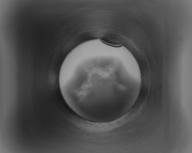 X0000100900031200807151127