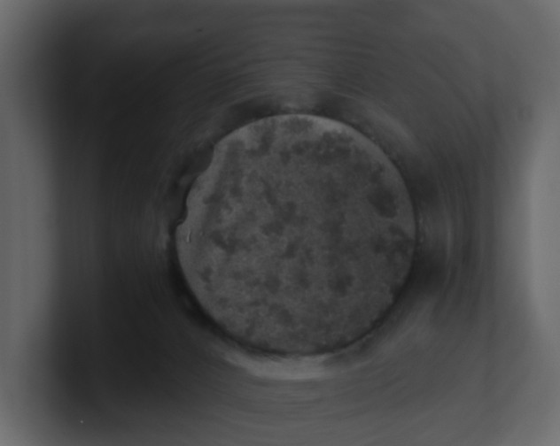 X0000100900032200807151127