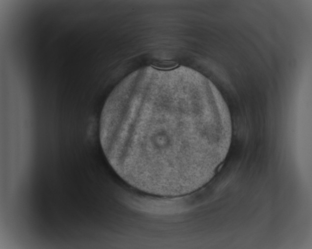 X0000100900036200807151127