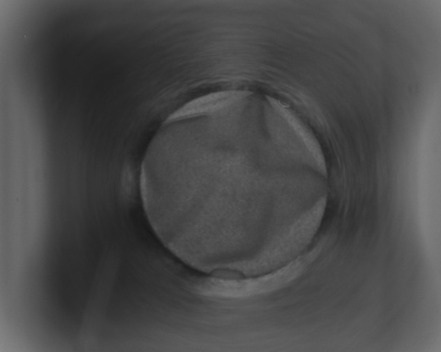 X0000100900037200807151127