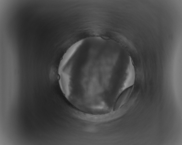 X0000100900043200807151127