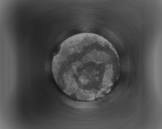 X0000100900044200807151127