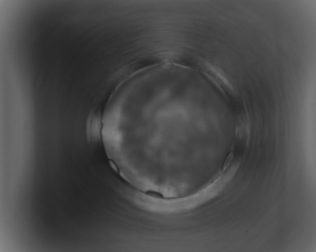 X0000100900047200807151127