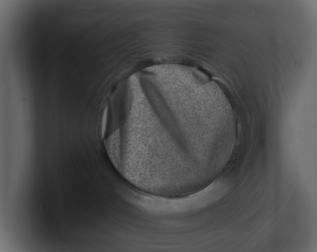 X0000100900048200807151127