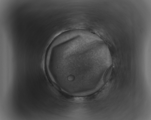 X0000100900052200807151126