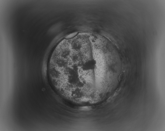 X0000100900053200807151126