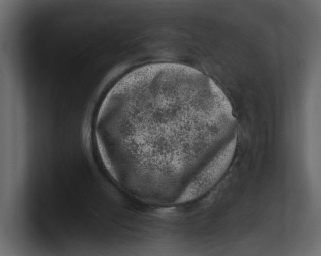 X0000100900054200807151126