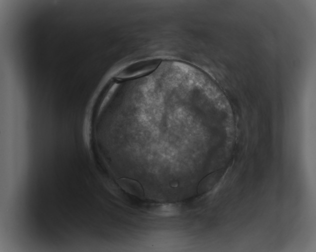 X0000100900056200807151126