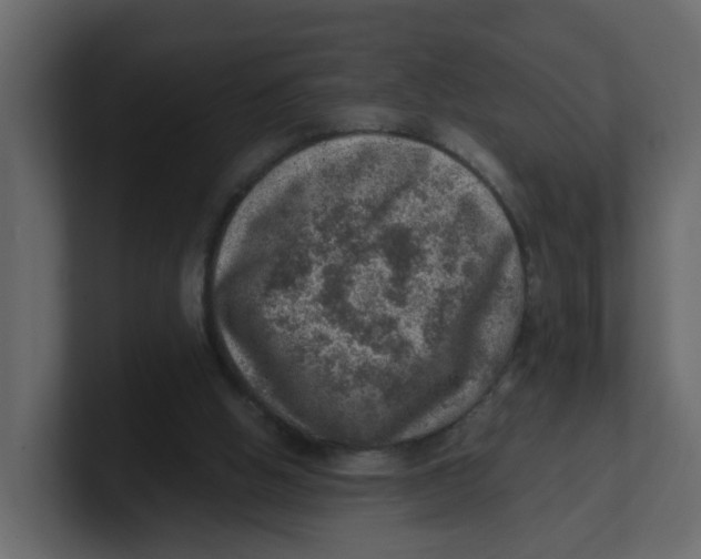 X0000100900058200807151126