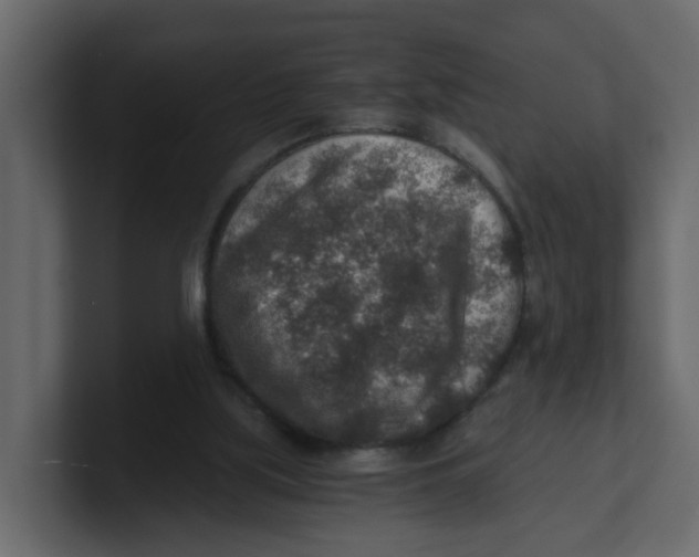 X0000100900059200807151126