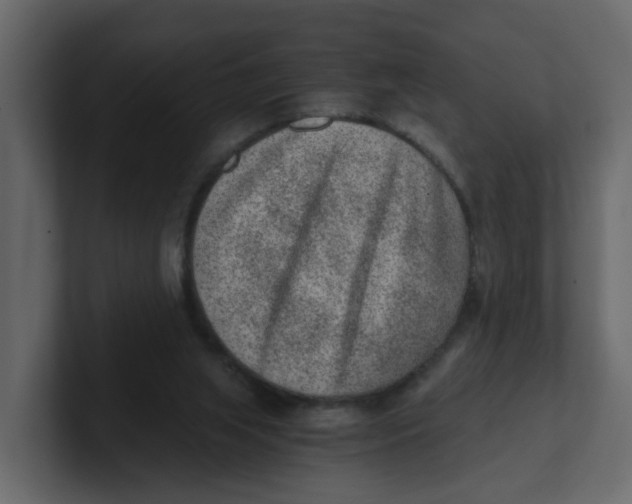 X0000100900063200807151126