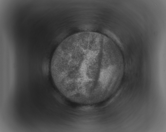 X0000100900065200807151126