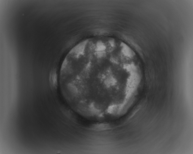 X0000100900067200807151126