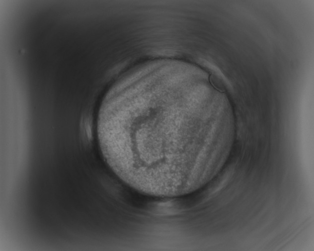 X0000100900068200807151126