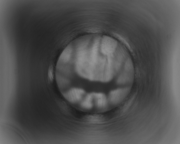 X0000100900069200807151126