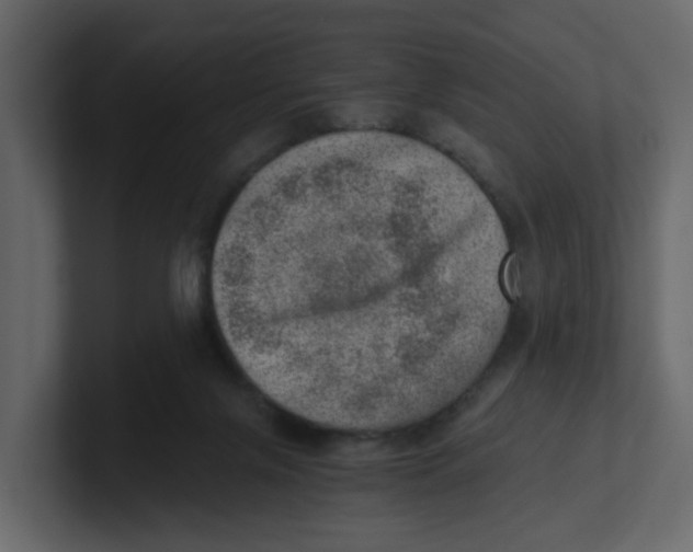 X0000100900071200807151126