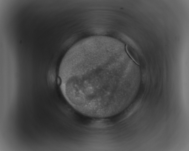 X0000100900072200807151126