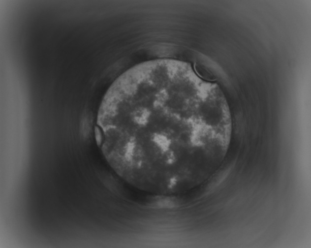 X0000100900073200807151126