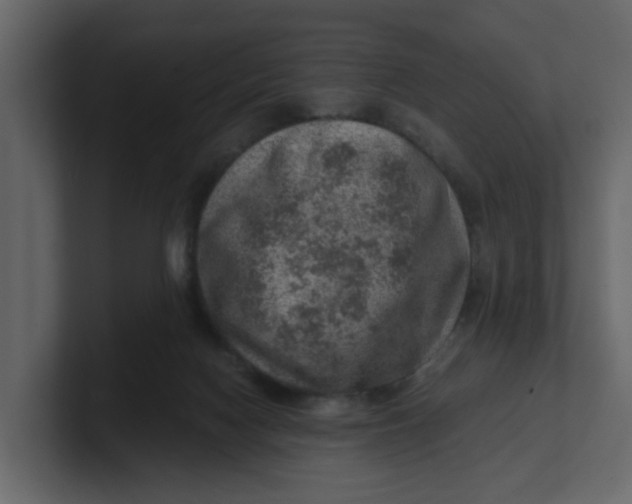 X0000100900074200807151126