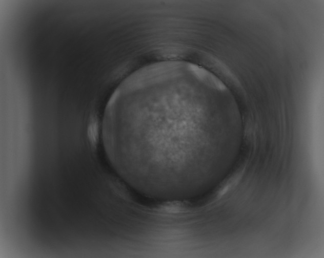 X0000100900076200807151126