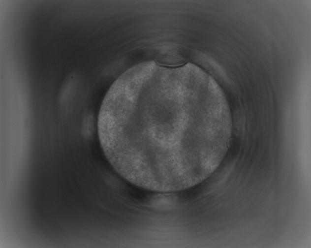 X0000100900077200807151126