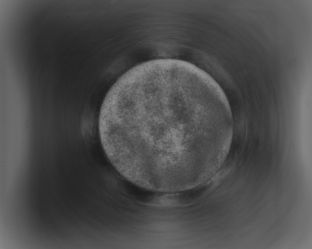 X0000100900078200807151126