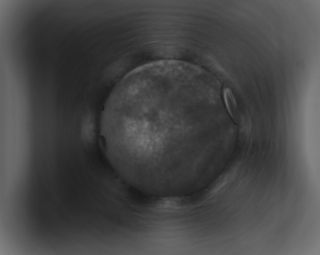 X0000100900080200807151126