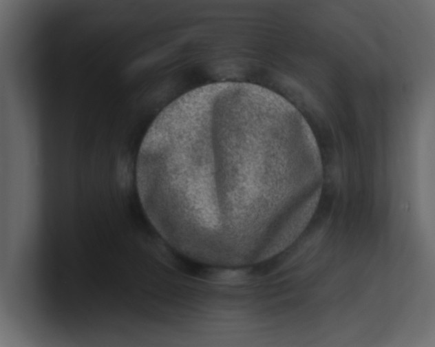 X0000100900081200807151126