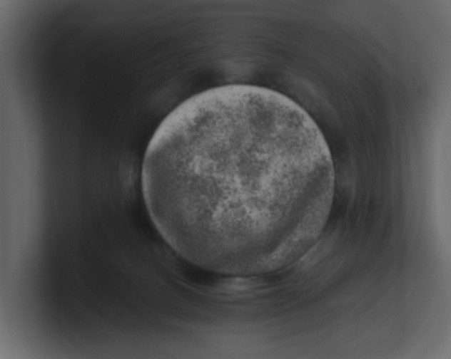 X0000100900082200807151126