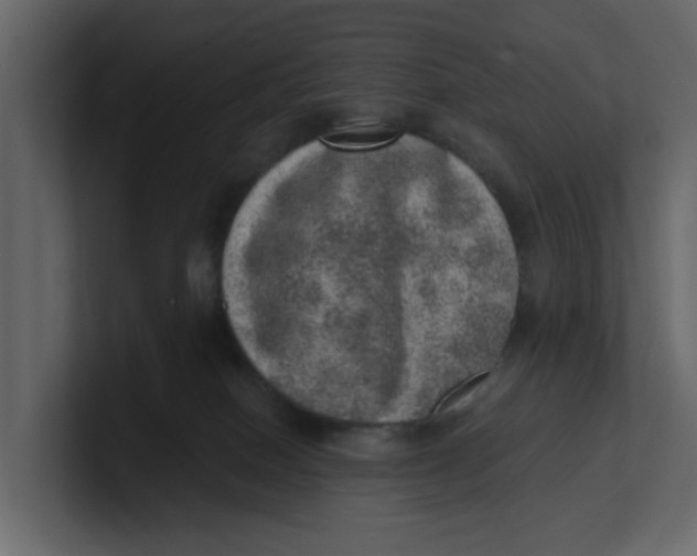 X0000100900086200807151126