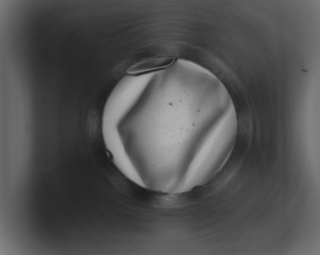 X0000100900092200807151127