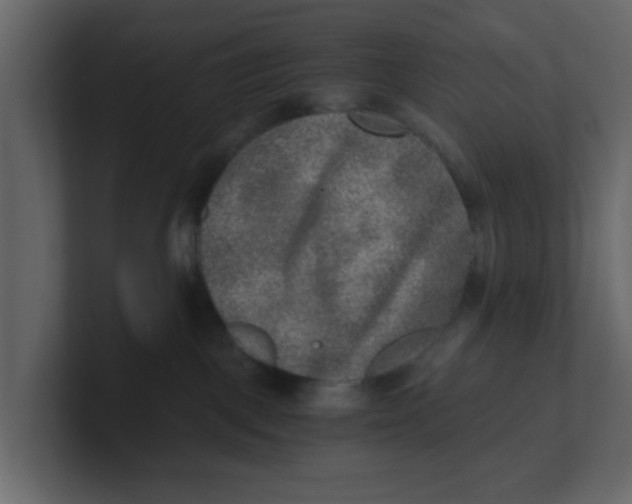 X0000100900093200807151127