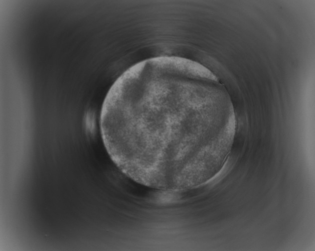 X0000100900094200807151127