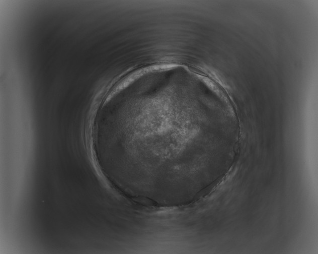 X0000100900097200807151126