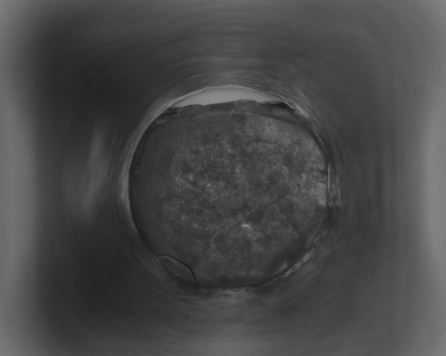 X0000100900099200807151126