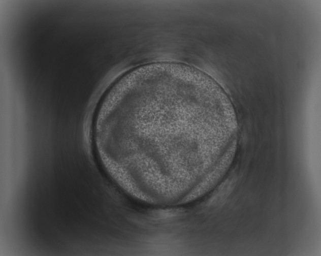 X0000100900103200807151126